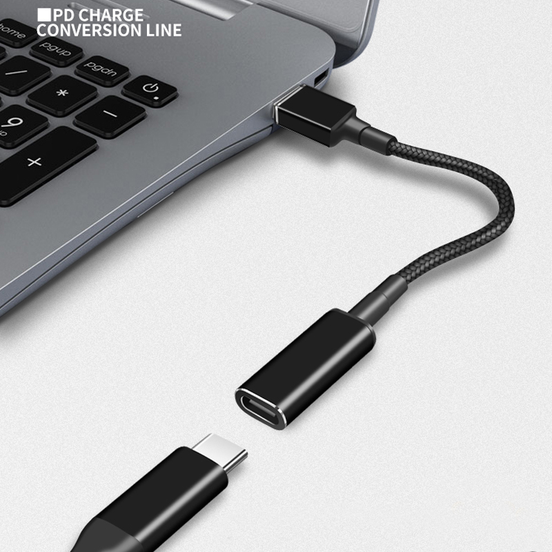 PD 100W Type C to Universal No - đánh giá và giá Cable Lock Laptop